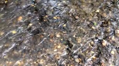 Su nehir tabanındaki kayaların arasından akar. Nehir suyu doğada akar..