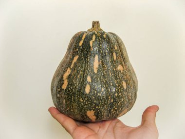  Beyaz arka planda el üzerinde bir Squash