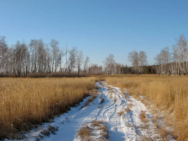 俄罗斯西伯利亚麦田的雪道 西伯利亚自然的雪道在一月 冬季阳光明媚 从农场的雪道 — 图库照片