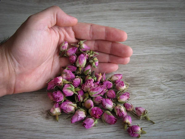 Organic dried pink rose buds in male hand on wooden background. Aromatherapy concept. Dried rose buds for cosmetics, food, medicine and perfume. Close up of Rose tea. Healthy food concept.