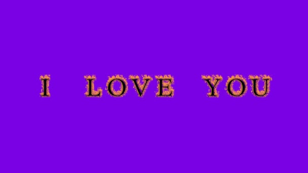 Love You Fire Text Effect Violet Background Анимированный Текстовый Эффект — стоковое видео