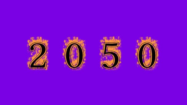 2050 Brand Text Effekt Violett Bakgrund Animerad Texteffekt Med Stor — Stockvideo