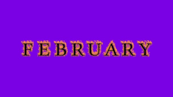 February Fire Text Effect Violet Background Animated Text Effect High — Stock Video