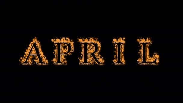 Nisan Ayı Yangın Efekti Siyah Arkaplan Yüksek Görsel Etkiyle Canlandırılmış — Stok video