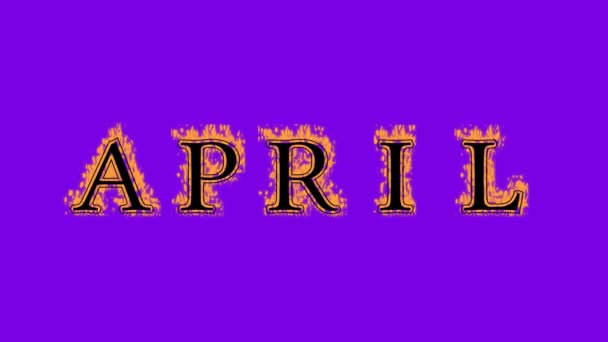 April Brand Tekst Effect Violette Achtergrond Geanimeerd Teksteffect Met Een — Stockvideo