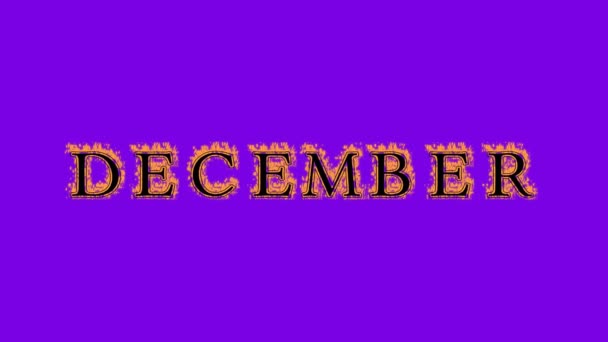 Декабрь Огонь Текстовый Эффект Фиолетовый Фон Анимированный Текстовый Эффект Высоким — стоковое видео