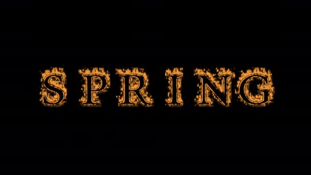 Spring Fire Text Effect Black Background Animated Text Effect High — Stock Video