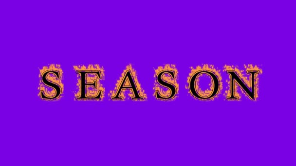 Saison Feu Texte Effet Violet Fond Effet Texte Animé Fort — Video