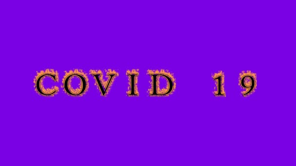 Covid 19火文字效果紫色背景 动画文字效果具有高视觉冲击力 字母和文字效果 阿尔法 — 图库视频影像