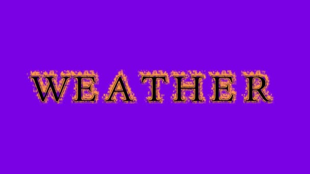 Ефект Світлового Вогню Фіолетовий Фон Анімований Текстовий Ефект Високим Візуальним — стокове відео