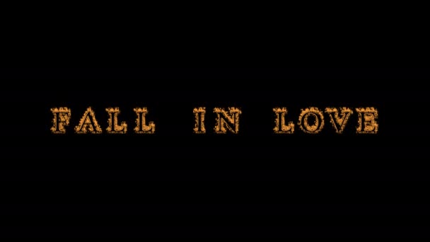 Siyah Arka Planda Aşk Ateşi Etkisi Yarattı Yüksek Görsel Etkiyle — Stok video