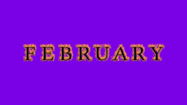 Februar Feuer Texteffekt Violetten Hintergrund Animierte Texteffekte Mit Hoher Visueller — Stockfoto