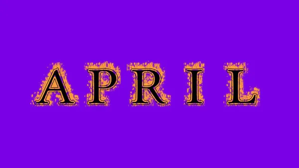 February Fire Text Effect Violet Background Animated Text Effect High — Stock Photo, Image