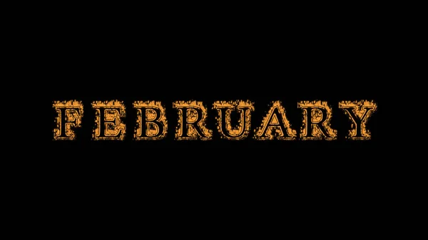 february fire text effect black background. animated text effect with high visual impact. letter and text effect. Alpha Matte.