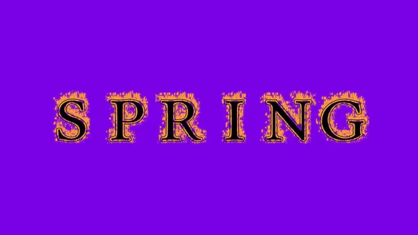 Spring Fire Text Effect Violet Background Animated Text Effect High — Stock Photo, Image