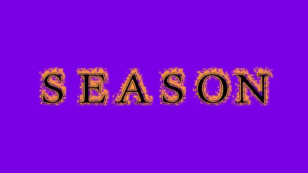 season fire text effect violet background. animated text effect with high visual impact. letter and text effect. Alpha Matte.