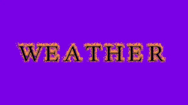 weather fire text effect violet background. animated text effect with high visual impact. letter and text effect. Alpha Matte.