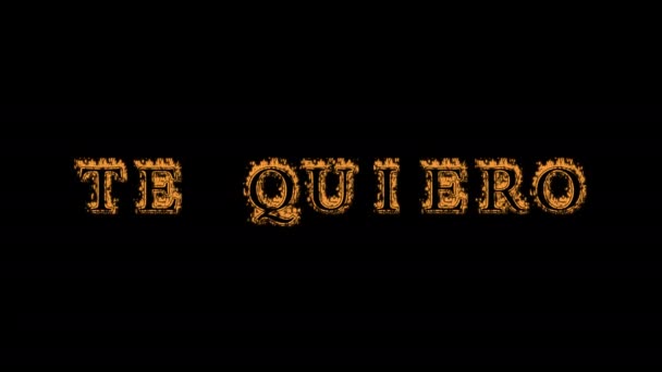 Quiero Fire Text Effect Black Background Animated Text Effect High — Stock Video