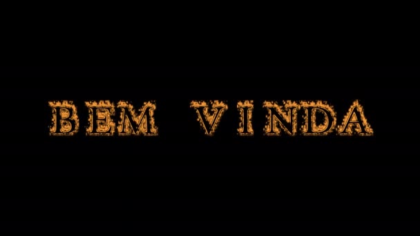 Bem Vinda火文字效果黑色背景 动画文字效果具有高视觉冲击力 字母和文字效果 原文的译文是欢迎 — 图库视频影像