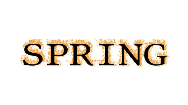 Spring Fire Text Effect White Isolated Background Animated Text Effect — Stock Photo, Image