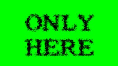 Sadece burada duman etkisi yeşil izole arkaplan. Yüksek görsel etkiyle canlandırılmış metin efekti. harf ve metin efekti.