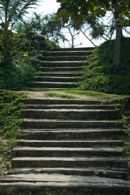 Dağdaki bir ağaçtan gökyüzüne merdiven