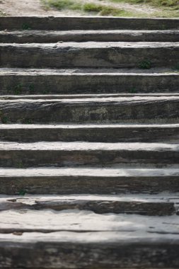 Dağdaki bir ağaçtan gökyüzüne merdiven