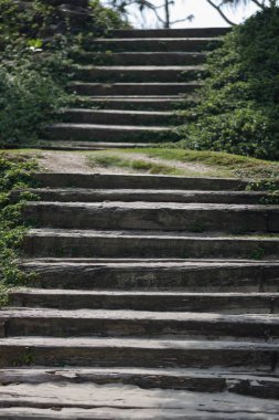 Dağdaki bir ağaçtan gökyüzüne merdiven