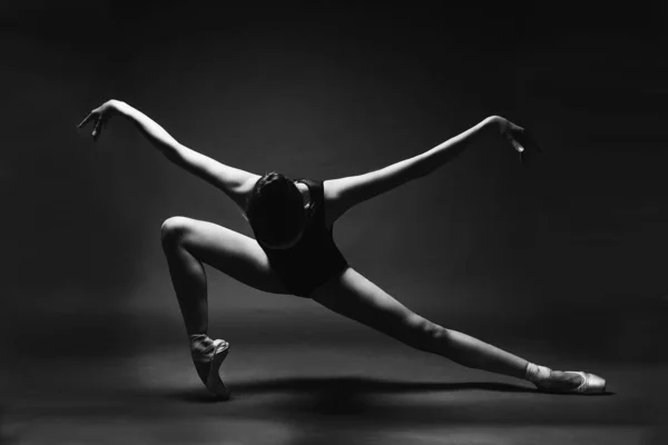 Posing Ballerina Studio — Stock Photo, Image