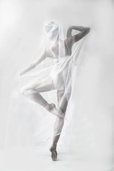 Graça Uma Bailarina Cativeiro Tecido Perfeito — Fotografia de Stock