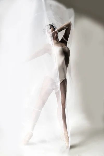Благодать Балерини Полоні Тонкої Тканини — стокове фото