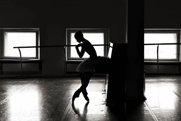 Encantadora Bailarina Posando Clase Ballet — Foto de Stock