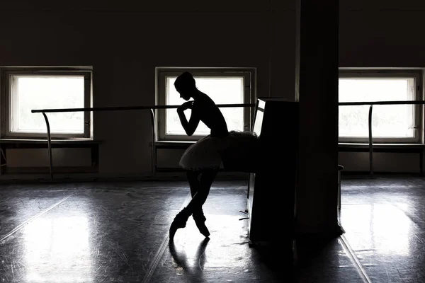 Очаровательная Балерина Позирует Балетном Классе — стоковое фото