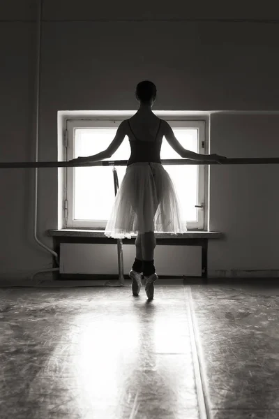 バレエクラスでポーズをとる魅力的なバレリーナ — ストック写真