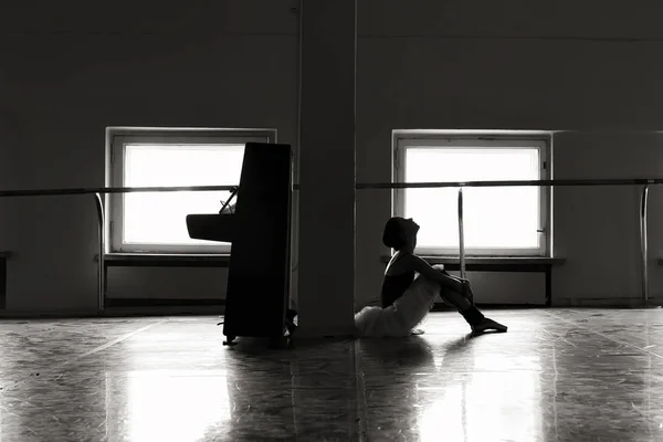 Affascinante Ballerina Posa Nella Classe Danza Classica Fotografia Stock