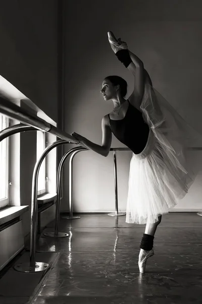 Affascinante Ballerina Posa Nella Classe Danza Classica Immagine Stock