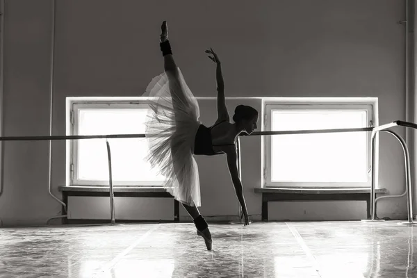 Affascinante Ballerina Posa Nella Classe Danza Classica Fotografia Stock