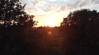 Gün batımında kuru ayçiçeği alanında güzel, yaz uçuş! 