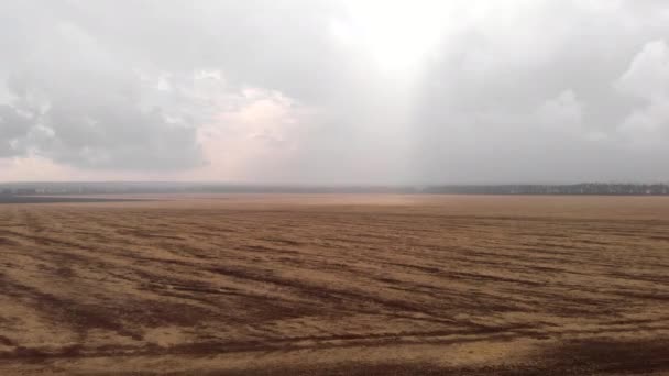 Vliegen Een Veld Met Uitzicht Het Bos Met Wolken Regen — Stockvideo