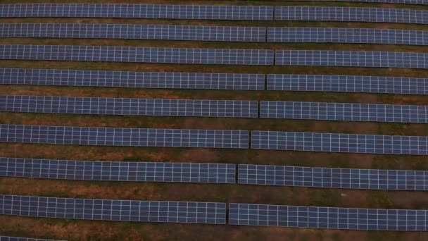 Φωτοβολταϊκά Ηλιακά Πάνελ Απορροφούν Ηλιακό Φως Πηγή Ενέργειας Για Την — Αρχείο Βίντεο