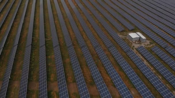 Los Paneles Solares Fotovoltaicos Absorben Luz Solar Como Fuente Energía — Vídeo de stock