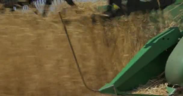 航空写真 現代の組み合わせ収穫機は 日没時に畑で小麦作物を収集します フィールドでの作業を組み合わせます 食品産業 収穫小麦畑農業農作物ライ麦大麦農家収穫 ストック動画