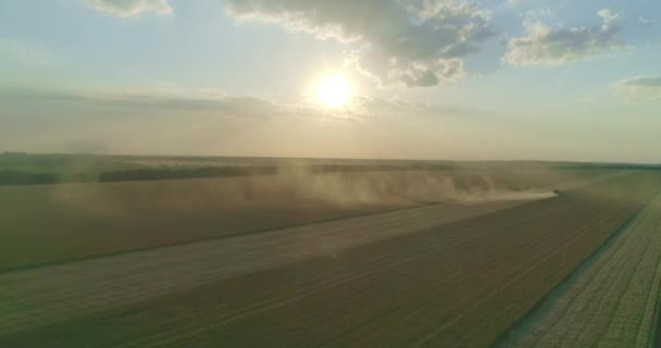 航空写真 現代の組み合わせ収穫機は 日没時に畑で小麦作物を収集します フィールドでの作業を組み合わせます 食品産業 収穫小麦畑農業農作物ライ麦大麦農家収穫 — ストック動画