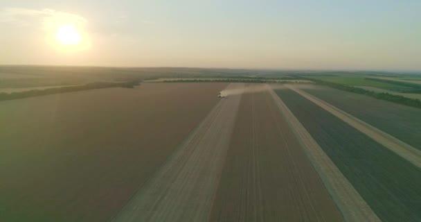 航空写真 現代の組み合わせ収穫機は 日没時に畑で小麦作物を収集します フィールドでの作業を組み合わせます 食品産業 収穫小麦畑農業農作物ライ麦大麦農家収穫 ロイヤリティフリーのストック動画