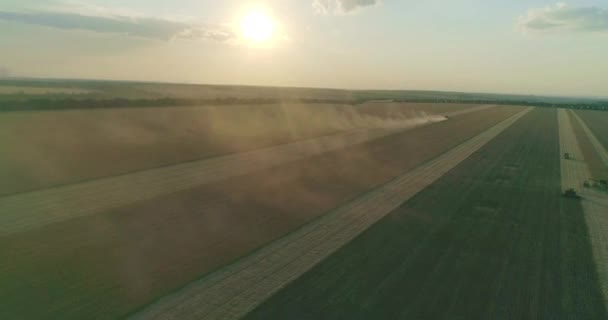 航空写真 現代の組み合わせ収穫機は 日没時に畑で小麦作物を収集します フィールドでの作業を組み合わせます 食品産業 収穫小麦畑農業農作物ライ麦大麦農家収穫 — ストック動画