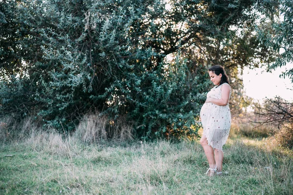 pregnant girl at sunset in loose dress in nature