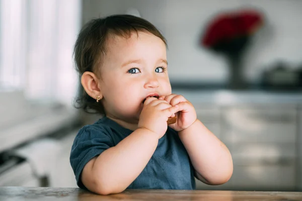 little girl in the afternoon in the kitchen eating a delicious chocolate bar