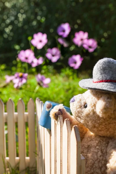 Gardener Teddy Bear Wear Traditional Farmer Hat Looking Garden Fence — Stock Photo, Image