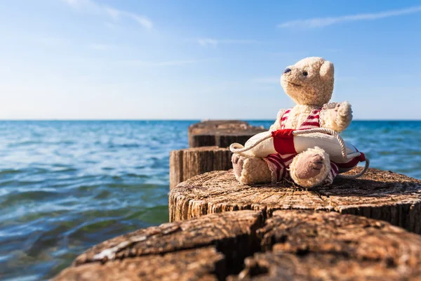 Teddybär Genießt Sonnigen Tag Nostalgischen Badeanzug Mit Rettungsboje Sitzend Auf Stockbild