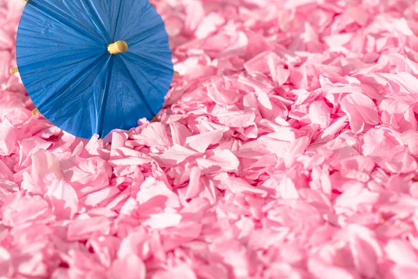 Background Carpet Cherry Blossom Petals Asian Miniature Umbrella Made Paper — Stock Photo, Image